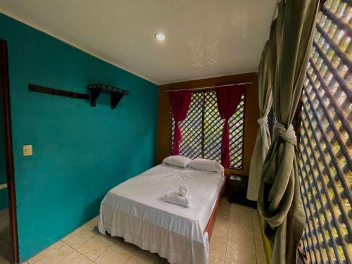 托尔图格罗Los Amigos Jungle Hotel Tortuguero的一间卧室配有一张蓝色墙壁的床和一扇窗户