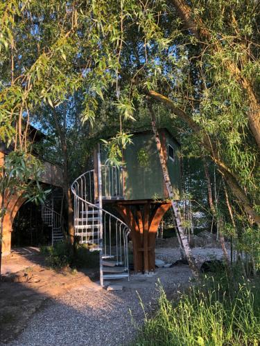 埃尔克海姆Baumhaus - Tiny Haus in der Höhe的树屋,树上有楼梯