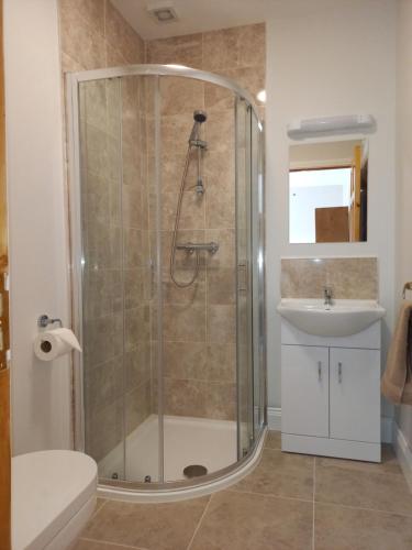 拉斯诺拉Sea Crest B&B Rossnowlagh的带淋浴和盥洗盆的浴室