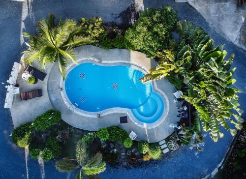 拉迈Amy Village Garden Resort的享有棕榈树游泳池的顶部景致