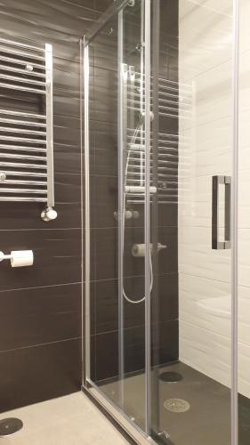圣地亚哥－德孔波斯特拉Apartment Pontus Stellae的浴室里设有玻璃门淋浴