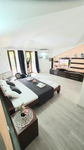 布德瓦Apartman Anja的大房间设有两张床和一台平面电视