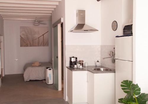 贝赫尔-德拉弗龙特拉El Lucero de Vejer的白色的厨房配有水槽和冰箱