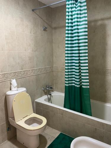 圣路易斯·德·萨比尼尔Apartamento Adimar的浴室设有卫生间和绿色淋浴帘。