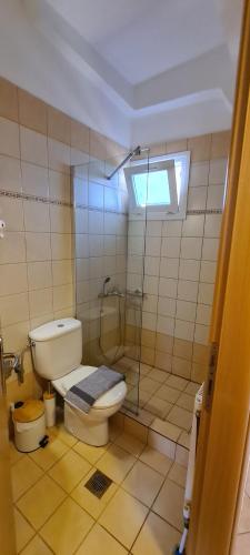 利迈纳里亚Villa Keramidi的一间带卫生间和玻璃淋浴间的浴室