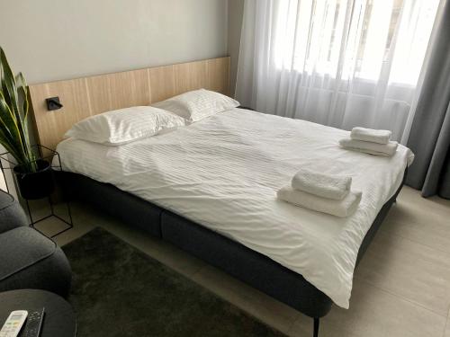 伊万诺-弗兰科夫斯克Caсtus Apartments 1的卧室里的一张带毛巾的床