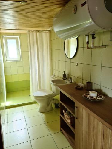 JoniškėlisCottage - Liepų Sodyba的一间带卫生间和水槽的浴室