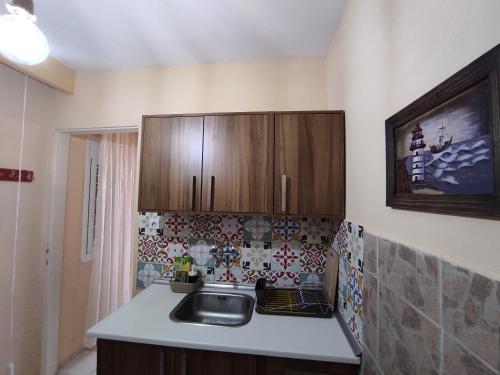 阿吉亚特拉萨Casa Stella的一个带水槽和木橱柜的厨房
