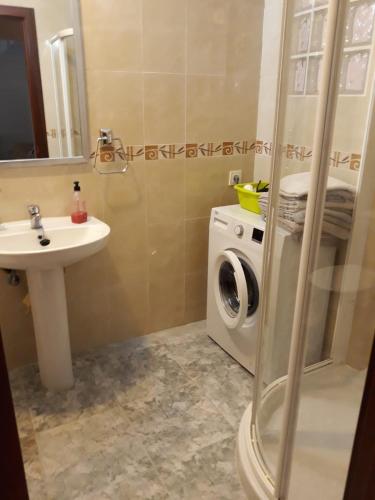 莱昂Apartamento Parque de Quevedo的一间带水槽和洗衣机的浴室