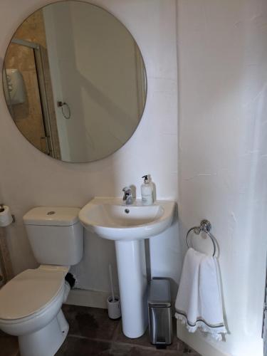 斯基普顿Pinfold Holiday Cottage的一间带卫生间、水槽和镜子的浴室