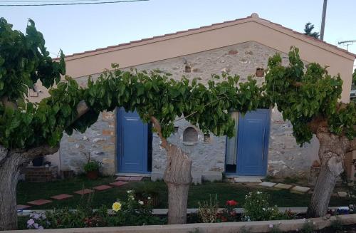 KoulkouthianáLaini Guest Houses的前面有蓝色门和树木的房子