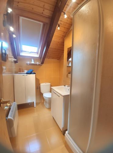 比利亚努阿Duplex Familiar Izarraitz的带淋浴和卫生间的浴室