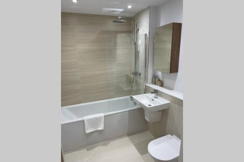 珀利Croydon Gem Apartment - Fast train to the centre and free parking的浴室配有盥洗盆、卫生间和浴缸。