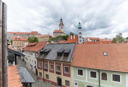 捷克克鲁姆洛夫Pension Adalbert的享有带屋顶和建筑的城市美景