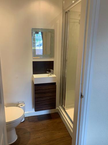 佩特利布里奇Crown Hotel的浴室配有卫生间、盥洗盆和淋浴。