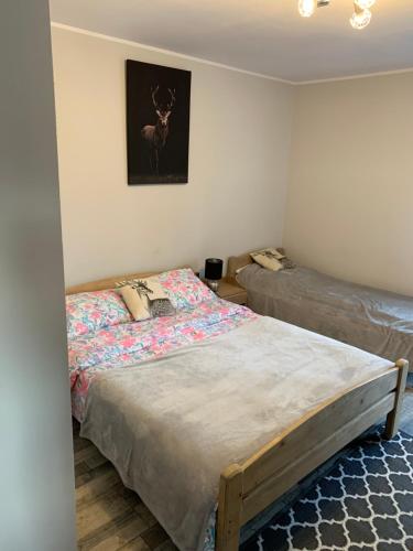 乔尔什滕U Halinki的卧室配有一张床,墙上挂着鹿的照片