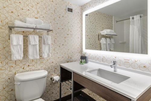 德卢斯Holiday Inn Atlanta-Gas South Arena Area, an IHG Hotel的一间带卫生间、水槽和镜子的浴室