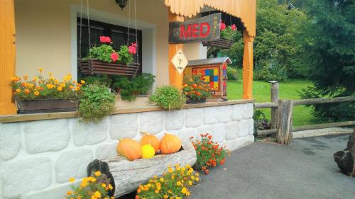 布莱德Homestead Zatrnik near Bled的鲜花窗户上带南瓜的房子
