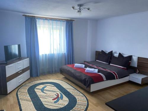 克利默内什蒂Casa Avi的一间卧室配有一张床、一台电视和一张地毯。