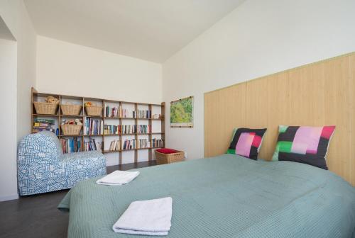 奥洛穆茨Sunny apartment的一间卧室设有一张大床和一个书架