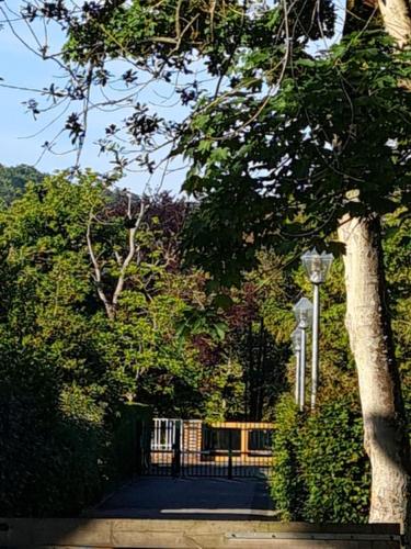 埃特勒塔Château des Bosquets的公园里设有栅栏、树木和街灯