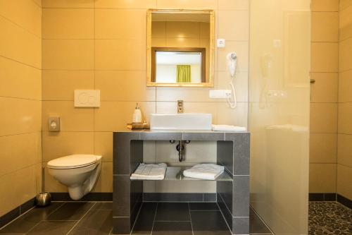 美因河畔霍海姆维奥拉酒店的一间带水槽和卫生间的浴室