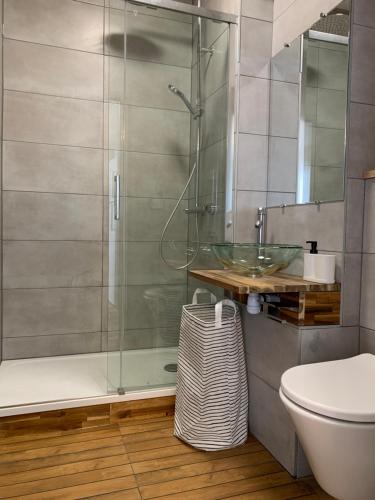 普瓦捷T2 Moderne au Cœur Poitiers的带淋浴、卫生间和盥洗盆的浴室