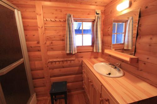 黑达尔卢萨特小木屋酒店的小木屋内带水槽的浴室