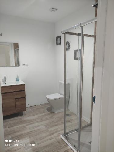 梅里达Apartamentos NayDa studio 1的一间带卫生间和玻璃淋浴间的浴室