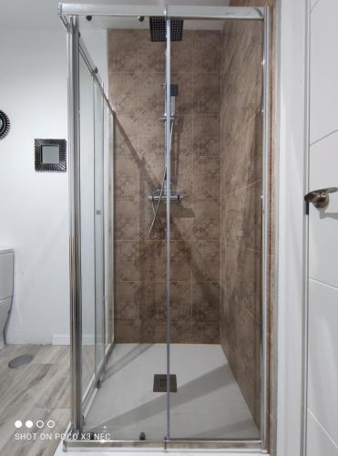梅里达Apartamentos NayDa studio 1的浴室里设有玻璃门淋浴