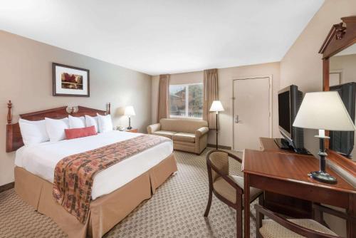 肖洛首罗戴斯酒店的酒店客房设有一张大床和一张书桌。