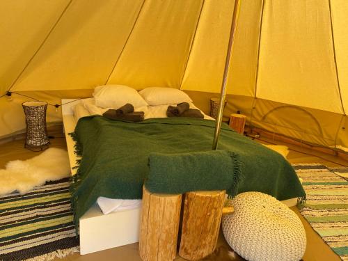TromsiSaarjärve Puhkemaja Glämping的帐篷内的一张床位,配有绿色被子