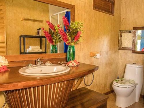 Faaone法尔艾里拉酒店的一间带水槽、卫生间和镜子的浴室