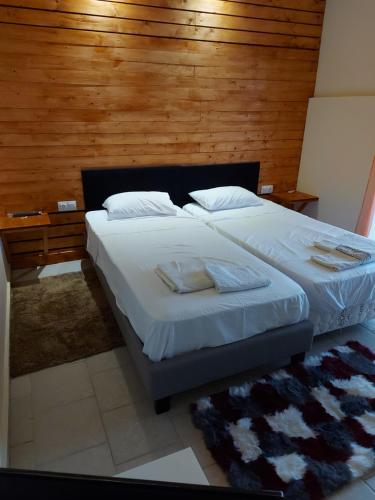 奥瑞斯蒂亚斯Nefeli Apartments Ορεστιάδα的一间卧室设有一张带木墙的大床