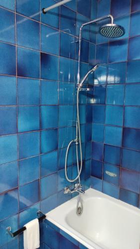布拉加Terrace House的蓝色瓷砖浴室配有淋浴和浴缸。