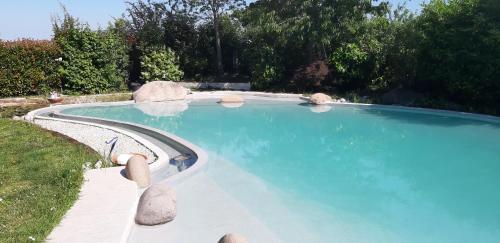 San Giorgio di Piano托里切拉住宿加早餐旅馆的庭院里的一个蓝色海水大型游泳池