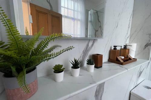 切斯特BOUTIQUE CITY CENTRE APARTMENT WITH PARKING的浴室的盆栽和镜子台面