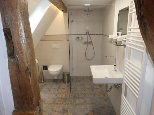 Weisweils' Moose Hof的带淋浴、卫生间和盥洗盆的浴室