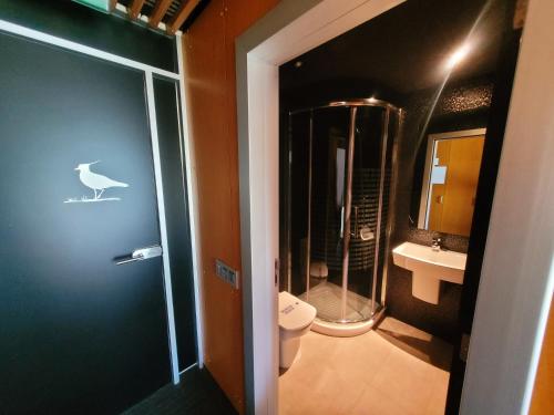 戈特赫斯阿特亚加Urdaibai Bird Center的一间带卫生间和步入式淋浴间的浴室