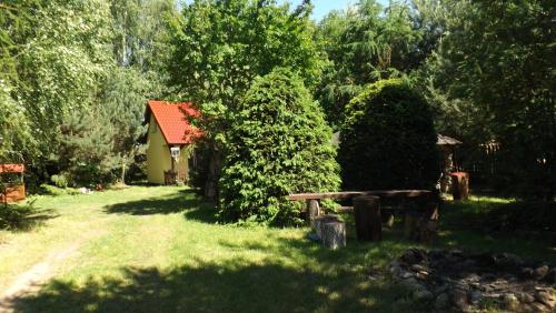 JerutkiGospodarstwo Agroturystyczne na Mazurach的一个带长凳和小房子的花园