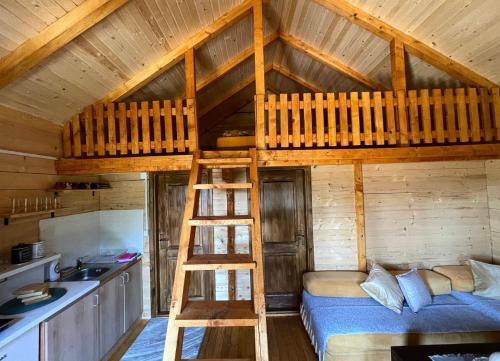 采蒂涅Cabin House Dubovik的小屋内带双层床的房间