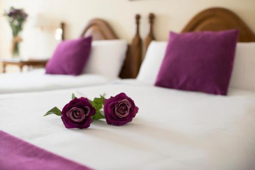 埃尔希耶戈埃西耶格别墅酒店的白色床上的两朵紫玫瑰花,配有紫色枕头