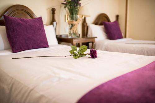 埃尔希耶戈埃西耶格别墅酒店的两张带紫色枕头和花的床铺