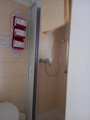 切列梅萨皮卡La casa di Chicca的带淋浴、卫生间和淋浴的浴室