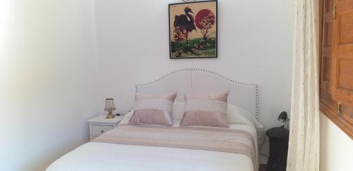艾利翁BOTEROS casa rural的一间卧室配有带粉色和白色枕头的床