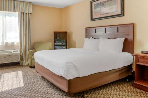 特拉弗斯城特拉弗斯城康福特茵酒店的一间设有大床和窗户的酒店客房