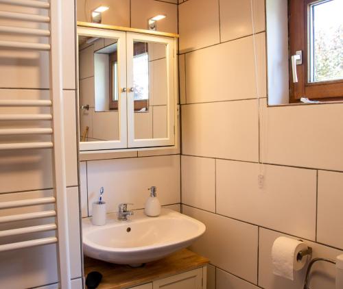 瓦格纳Apfelhaus的一间带水槽和镜子的浴室