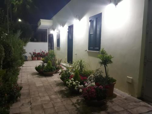 切萨雷奥港安娜公寓的庭院里花朵的房屋