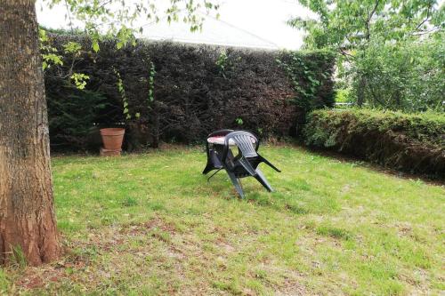 罗德兹studio avec jardin à Rodez的院子里草地上的鸟像