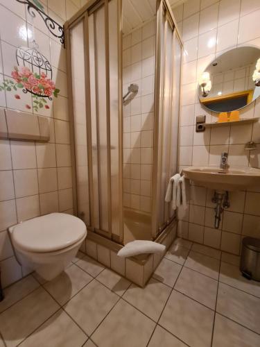 格斯韦因斯泰因Appertment Bärenstein 2的浴室配有卫生间、淋浴和盥洗盆。